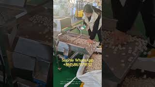 Instant Porridge Soya Cereal Beverage Baby Rice Powder Food Extruder Machine foodextruder machine [upl. by Gawen227]