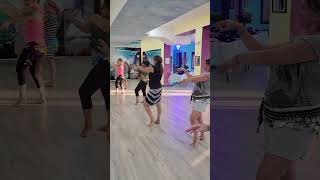 Belly Dancing  Basics Dance Lessons for Beginners  bellydancing dance bellydance dancevideos [upl. by Blayze]