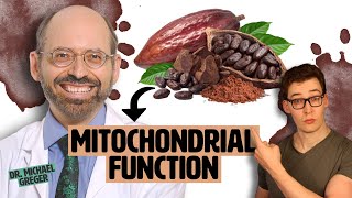 Dr Greger Cocoa for Muscle amp Mitochondrial Function  Fact or Fiction [upl. by Ellertnom]