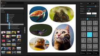 Collage  PhotoScape X for Mac 23 [upl. by Katzen]