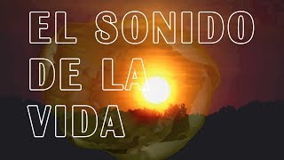 Silva de Alegría  El Sonido de la Vida [upl. by Stanton119]