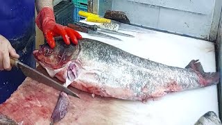 Amazing Skills Bighead Fillet  How To Clean Fish [upl. by Eadwina]