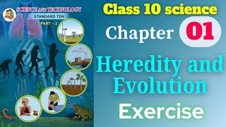 Heredity and Evolution class 10 science and technology part 2 chapter 1 exercise solutions [upl. by Nanam]