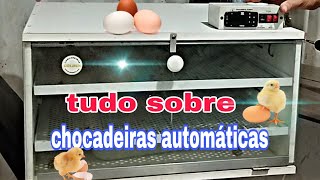 chocadeiras automáticas🐣🐣 tudo que você precisa saber sobre o funcionamento delas🥚🥚🐣🐣🐣 [upl. by Kenney411]