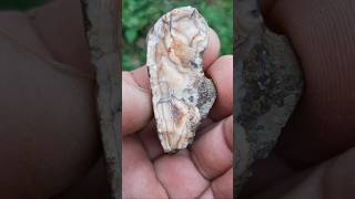 Achat Idar Oberstein roh und poliert achat agate geology jasper [upl. by Yesmar36]