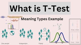 What is T Test  Meaning  Types  Example [upl. by Ztnarf]