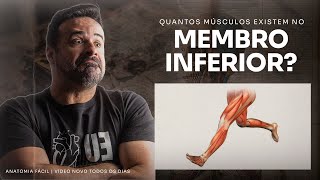 NUNCA FOI TÃO FÁCIL APRENDER OS MÚSCULOS DO MEMBRO INFERIOR  anatomiafacil [upl. by Aimar]