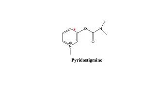 Pseudoirreversible and Irreversible Inhibitors of Acetylcholinesterase [upl. by Alemap725]