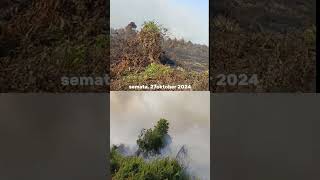 Kebakaran lahan di desa semata kecamatan tangaran 27 Oktober 2024 shorts viralvideo kebakaran [upl. by Alexander]