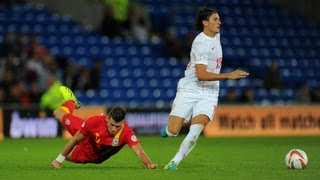 Ljubomir Fejsa vs País de Gales  Novo Jogador do Benfica [upl. by Eide]