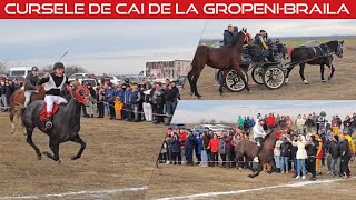 894 HorseRacing  Cursele de cai de la Gropeni jud Braila Boboteaza2024  1500 de spectatori [upl. by Lilhak574]