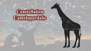 constellation camelopardalis [upl. by Trumann248]