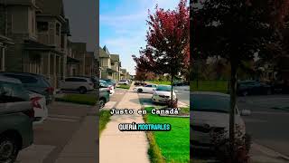 Calles de Canadá en el Otoño canada [upl. by Niela]