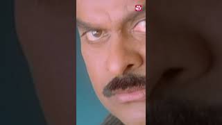 Shriya Entry Scene tagore chiranjeevi shriyasaran  Telugu Comedy Scene [upl. by Kentiggerma]