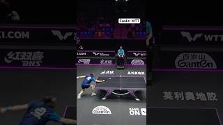 Best table tennis rally 💪🏓 pingpong tabletennis tenisdemesa [upl. by Snevets]