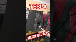 tesla DOUBLE MAGNET speaker sound test Angelicaaudio [upl. by Vogele]