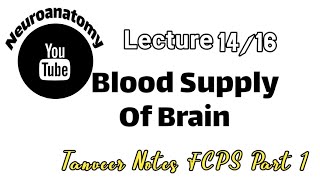 Neuroanatomy lecture  1416 Blood supply of BrainCircle of Willis [upl. by Scholem]