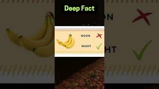 4 Foods We Eat At Wrong Hour shorts subscribe facts psychologyfacts yourlifetalks love [upl. by Ahsikan316]