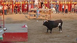 TORO RATON EN MOVERA ZARAGOZA Parte 1 [upl. by Oraneg]