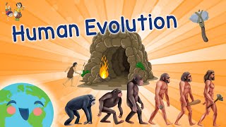 Human Evolution For Kids  Evolution Of Humans Learning Videos for Kids [upl. by Harhay51]