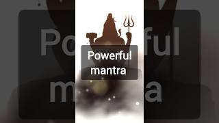 Om Trayambakam Yajamahetrayambakeshwar shiva statuslordshiva sawanspecialmantrayoutubeshorts [upl. by Essila549]