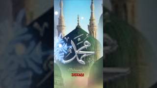 Hadithquotﷺquot  Prophet Muhammad Saw Viral Virlshort islamic Video Hidayah IQ [upl. by Ardnasirhc145]