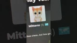 Playing Chess vs Mittens Ruined Me Creditchess [upl. by Jarus]