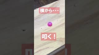 【DIY】釘を隠す？カクシ釘って知ってますか？ハンマー クギ diy diy初心者 [upl. by Lesh]