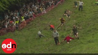 Absolutely mad Gloucestershire Cheese Rolling Race won by fearless local [upl. by Neilla]