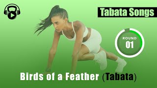 Tabata Songs  quotBirds of a Feather Tabataquot w Tabata Timer [upl. by Sudnac]