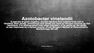 Medical vocabulary What does Azotobacter vinelandii mean [upl. by Bueschel]