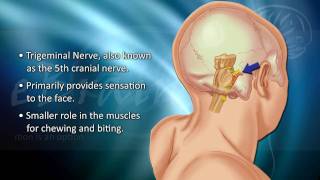 Understanding Trigeminal Neuralgia  eBrainMDcom [upl. by Esille787]