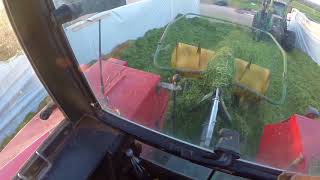 Grassilage  Silo walzen  verteilen  Steyr Fendt  Cabview  Uncut  GoPro [upl. by Ahsiner889]