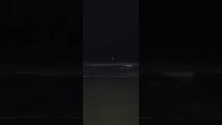 Surprise along the beach 😱🌊🦞👽👾 [upl. by Marissa]