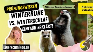 Was ist der Unterschied zwischen Winterruhe und Winterschlaf Wissen für die Jagdausbildung [upl. by Zebulon740]