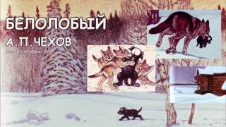 Белолобый АПЧехов Аудио книга Anton Chekhov Audiobook Belolobiy [upl. by Nnaesor]