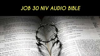 JOB 30 NIV AUDIO BIBLE [upl. by Ahtnamys886]