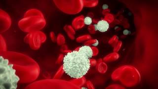 Liquid Biopsy has the potential to transform the world of Cancer Diagnostics [upl. by Nnaeirual]