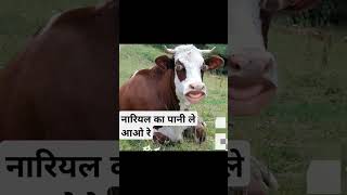 नारियलकापानीलेyt ytshorts funny funnyvideo reels comedy fun shorts shortvideo short love [upl. by Wight]