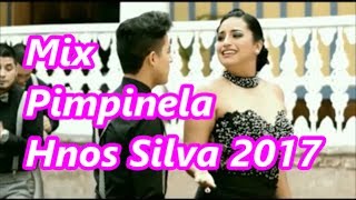 Mix Pimpinela  Hermanos Silva 2017 Video Oficial Con Letra [upl. by Anahoj74]