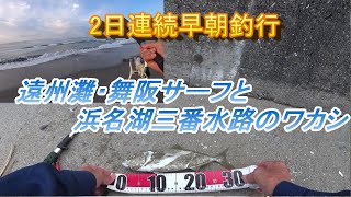 2日連続早朝釣行 釣りのシーズン最盛期迎えた 遠州サーフと浜名湖青物狙い [upl. by Eletnahs929]