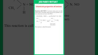 Reaction with NOCl  Chemical Properties of Amines  JEE  NEET  BITSAT [upl. by Hershell]