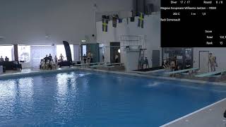 Marginalen Bank Diving Cup 2023 BBoys 3m [upl. by Wu972]