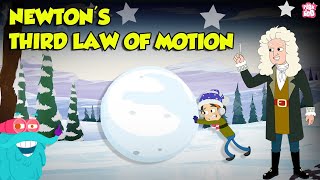 Newtons 3rd Law of Motion  Action and Reaction Forces with Examples  Physics Laws  Dr Binocs [upl. by Epuladaugairam]