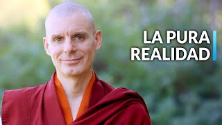 Lama Rinchen  Camino de las Paramitas 18 La Pura Realidad [upl. by Akcired182]