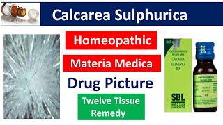 Calcarea Sulphurica Homeopathic Medicine Drug PictureMateria Medica bhms materiamedica calcarea [upl. by Hafler434]