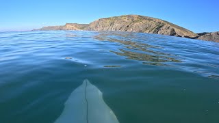 Glassy Beach Break RAW POV💎 [upl. by Doak]