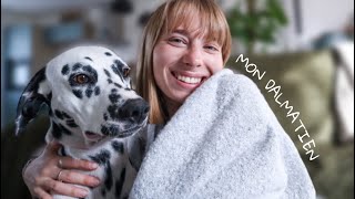 TOUT SAVOIR SUR MON DALMATIEN [upl. by Ness]