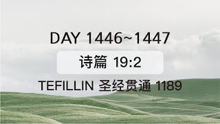 Tefillin Day 14461447 诗篇 192 宣布圣经 50次 [upl. by Gonzalez879]