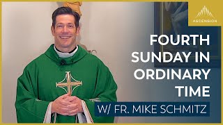 Fourth Sunday of Ordinary Time  Mass with Fr Mike Schmitz [upl. by Seagrave]